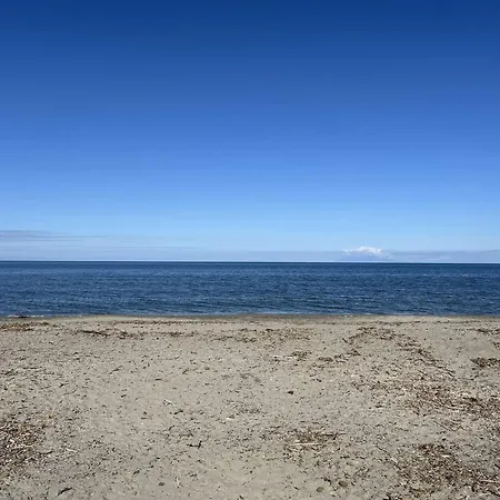 Studio Cosy A Borgo : Climatise, Acces Direct Plage, Parking Gratuit - Fr-1-650-33 *