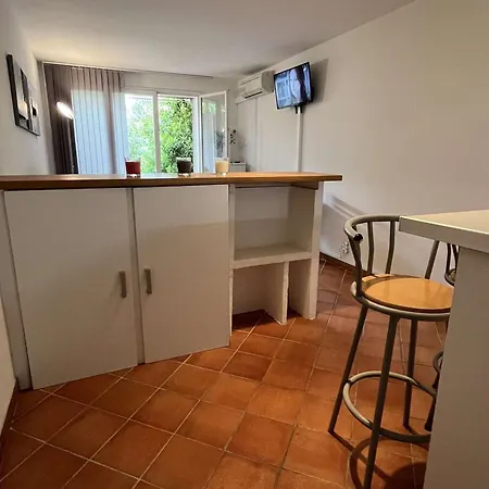 Studio Cosy A Borgo : Climatise, Acces Direct Plage, Parking Gratuit - Fr-1-650-33 アパート *